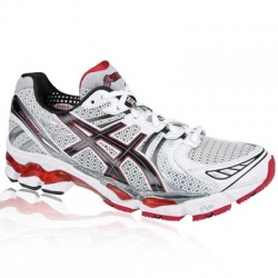 Asics GEL-Kayano 17 Running Shoes ASI1246