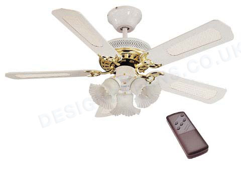 Ceiling Fan With Light