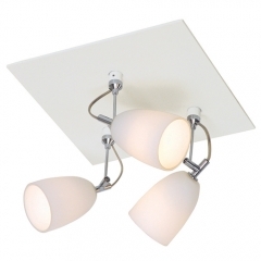 Pavia White Ceiling Light with 3 Spotlights