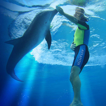 ATLANTIS Dolphin Adventure at Dolphin Bay - Adult