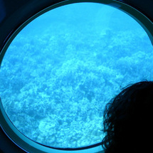 ATLANTIS Submarine, Kona, Big Island - Child