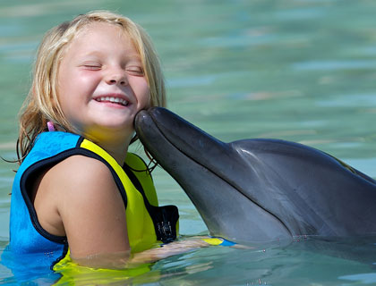 Atlantis The Palm, Dubai - Dolphin Experiences Deep Water Dolphin Adventure