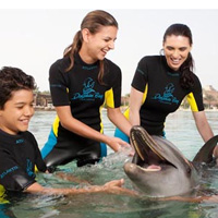 Atlantis The Palm Resort - Dolphin Experiences Beach Observer Pass - Dolphin Adventure
