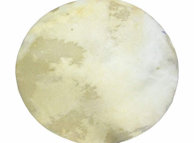 Atlas ADS-116 Replacement Drum/Banjo Head 16 Inches White Calf Skin