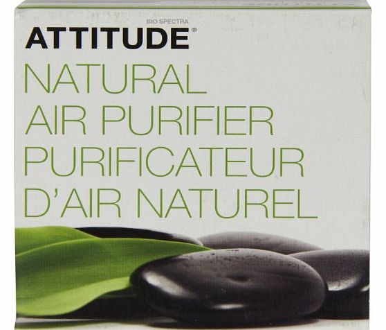 Air Purifier Eucalyptus Lavender 227 g