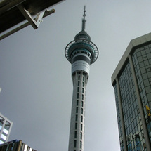 Auckland City Highlights - Adult