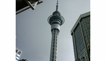 Auckland City Highlights - Child