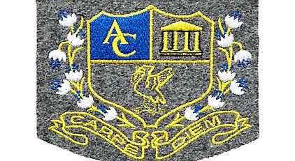 Unisex Blazer Badge, Multi