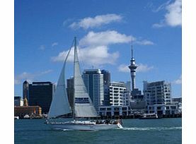 Auckland Harbour Sailing Dinner Cruise - Child