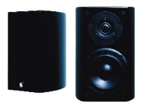 Audio Pro Bravo FX01 Speaker Silver