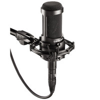 Audio-Technica Audio Technica AT2035 Condenser Mic