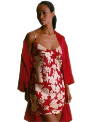 Romantic Toile Print chemise