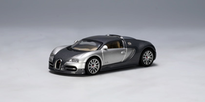Bugatti Veyron 16.4 in Grey/Silver