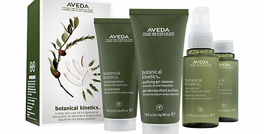 AVEDA Botanical Kinetics 4-step Skincare Kit,