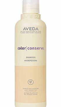 AVEDA Color Conserve Shampoo
