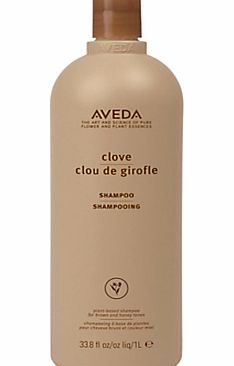 AVEDA Color Enhance Clove Shampoo, 1000ml