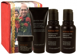 Aveda Haircare AVEDA CARRY ON COMPANIONS GIFT SET (4 PRODUCTS)