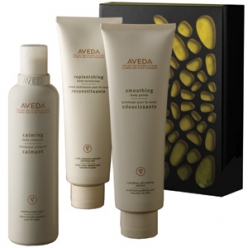 Aveda Haircare AVEDA DESTINED FOR SMOOTHNESS GIFT COLLECTION (3