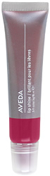 Aveda Skincare AVEDA LIP SHINE - 470 AMARANTH (15ML)