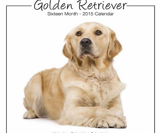 Avonside Publishing Golden Retriever Studio