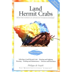 AVS Land Hermit Crabs