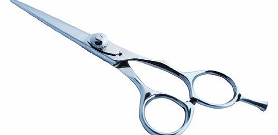 Awans Professional Hairdressing 5.5`` Barber Salon Scissors