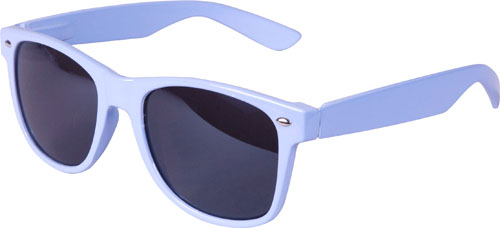 Blue Wayfarer Sunglasses
