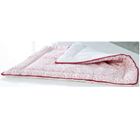 Babydan Playmat Nostalgia red