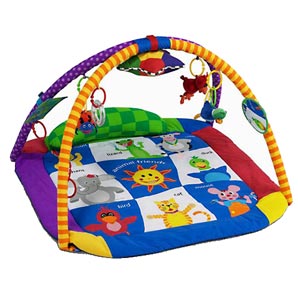 Baby Einstein Activity Gym