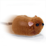 Baby Gupi Guinea Pig