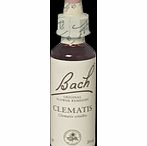 Bach Flower Clematis Flower Remedy - 20ml 089816