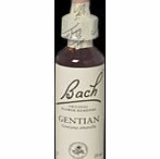 Bach Flower Gentian Flower Remedy - 20ml 089819