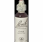 Bach Flower Oak Flower Remedy - 20ml 089834