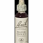Bach Flower Water Violet Flower Remedy - 20ml