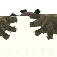 BAILEY Drain Brush 4 (102mm)