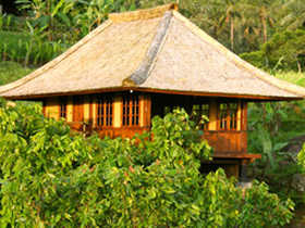 eco bungalows in Indonesia