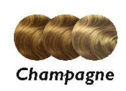 COLOR ACCENTS - CHAMPAGNE
