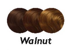 COLOR ACCENTS - WALNUT