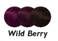 COLOR ACCENTS - WILD BERRY