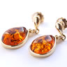 baltic Amber Drop Earrings