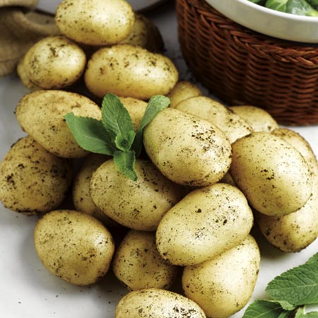 Bambino Potatoes (Late Season) 2 kg Pack