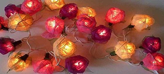Banlon Old English Pink Red Mixed Colour Rose Fairy Light String