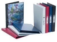 Bantex A4 Vision blue ring binder with clear