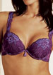 Barbara Taina padded plunge underwired bra