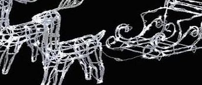 Bargain Store 160 LED White Acrylic Reindeer Sleigh Outdoor Christmas Decoration Lights New