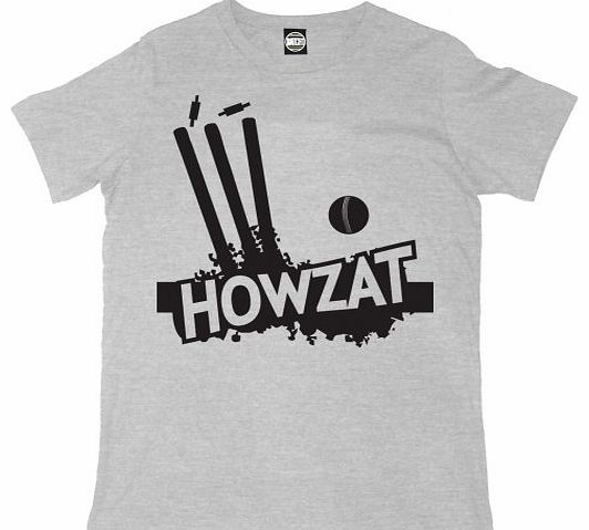 Mens Howzat Cricket Stumps & Ball Printed Ashes Test Match T-Shirt, Grey - XXL