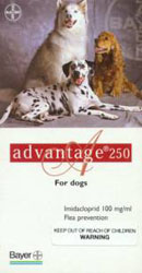 Bayer UK Advantage 250 for Dogs