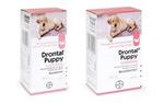 Drontal Puppy Worming Suspension (100ml)