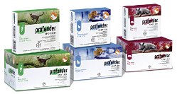Bayer UK Profender Spot-On - Small Cat - 2 pipettes