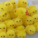 Be Creative 20 Super Fluffy Small Easter Chicks